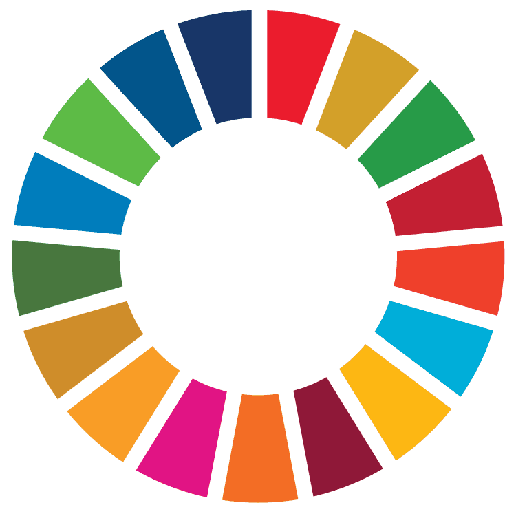 UN Sustainable Development Goals